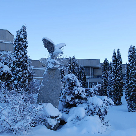 Цена ниже на 15% в ноябре–декабре в санатории «Джинал»